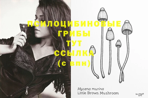 дурь Балахна