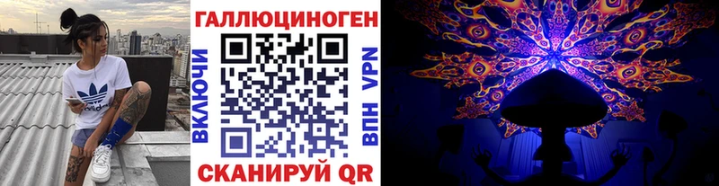 где можно купить   Сурск  Галлюциногенные грибы Cubensis 