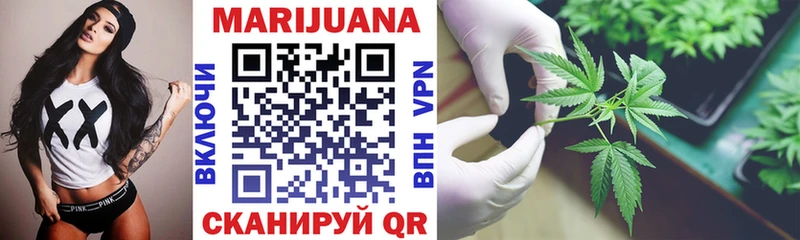 где купить   Сурск  МАРИХУАНА White Widow 